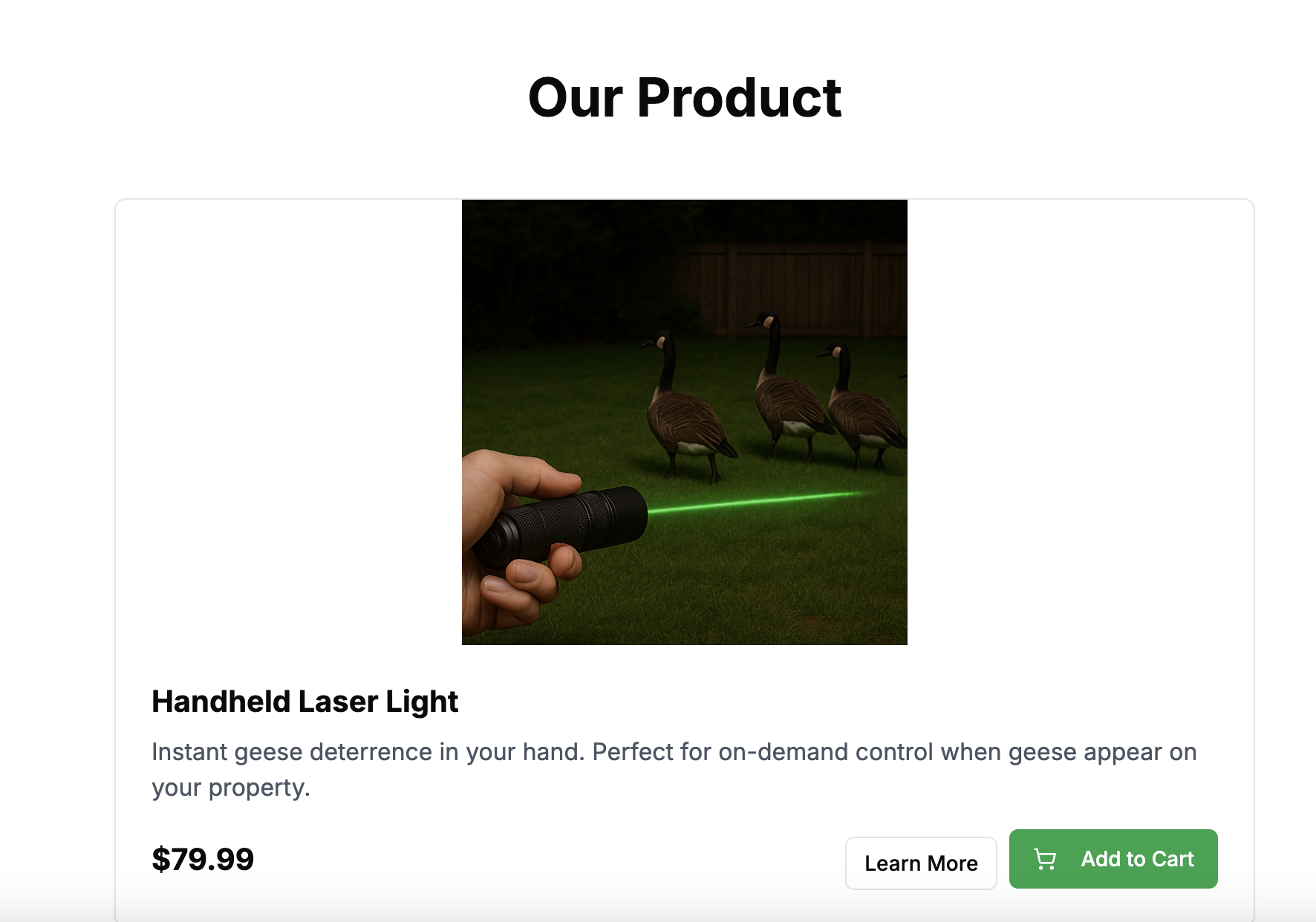 Handheld Laser Light - Image 2